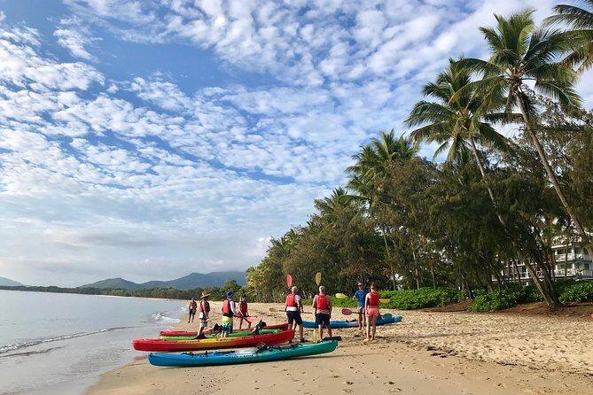 Kayak Turtle Tour from Palm Cove - The Sum Up: Is the Kayak Turtle Tour from Palm Cove Worth It?