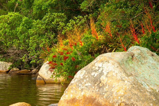 kayak-water-trail-in-red-river-park-by-adrenailha
