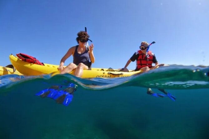 kayak-whale-watch-and-snorkel
