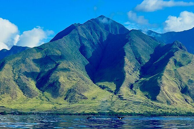 Kayak, Whale Watch, and Snorkel With Optional Photo and Video - A Closer Look at the Maui Kayak, Whale Watch, and Snorkel Tour