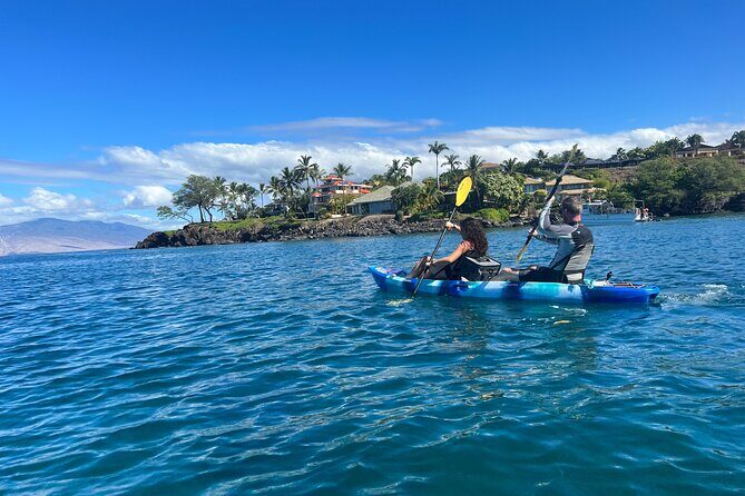 Kayak, Whale Watch, and Snorkel With Optional Photo and Video - Final Thoughts