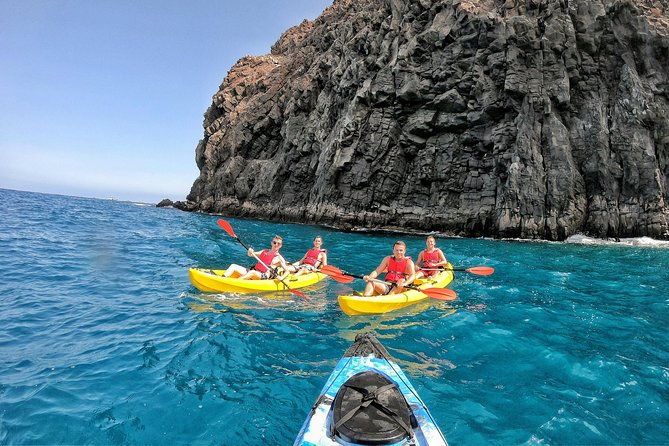kayak-with-dolphin-turtle-watching-private-tour