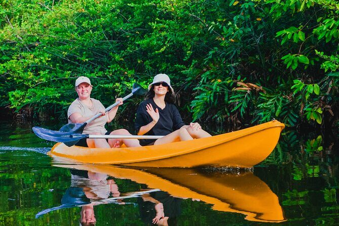 Kayaking Adventure on serene waters through mangroves, Akurala - Key Points