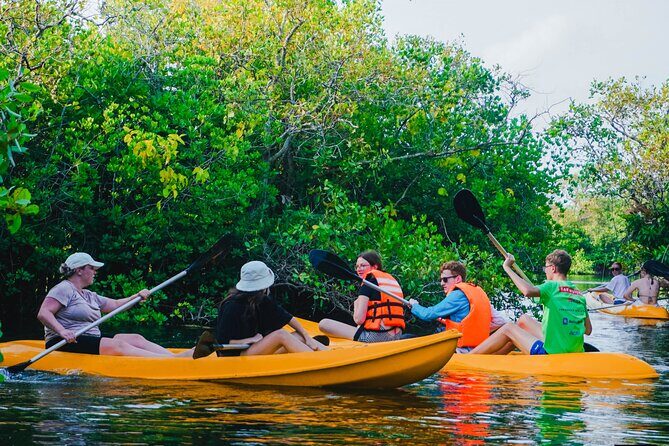 Kayaking Adventure on serene waters through mangroves, Akurala - Who Should Consider This Tour?