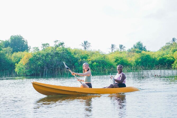 Kayaking Adventure on serene waters through mangroves, Akurala - The Sum Up