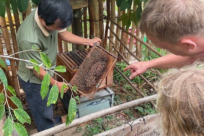 Kayaking and Land Exploration in North Phu Quoc - Practical Aspects and Value