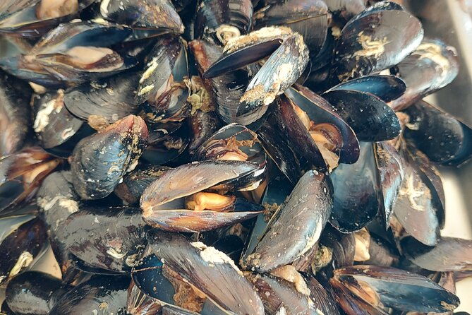 kayaking-and-mussels-tasting-at-krka-river-estuary-private-tours-2