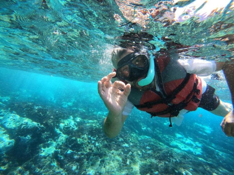 kayaking-and-snorkeling-with-turtles