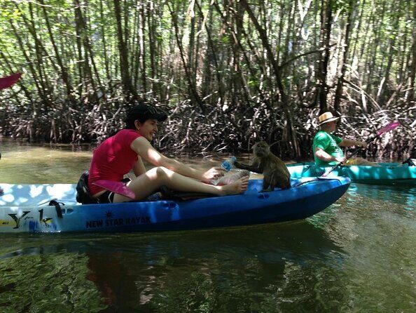 Kayaking at Ao Thalane Krabi include ATV Ride - Ao Thalane Mangrove and Limestone Canyons