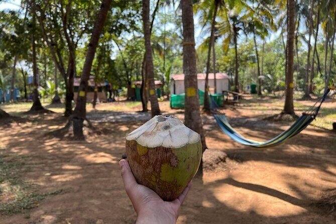 Kayaking At Private Island In Goa - What You’ll Love About This Tour