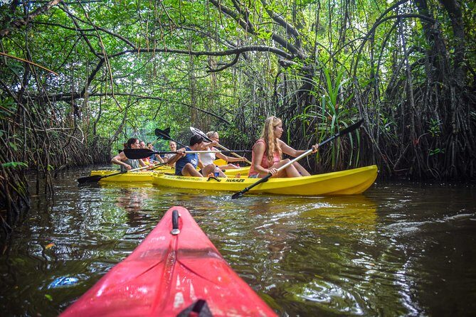 Kayaking at Rathgama Lake from Hikkaduwa - Final Thoughts: Is This Tour for You?
