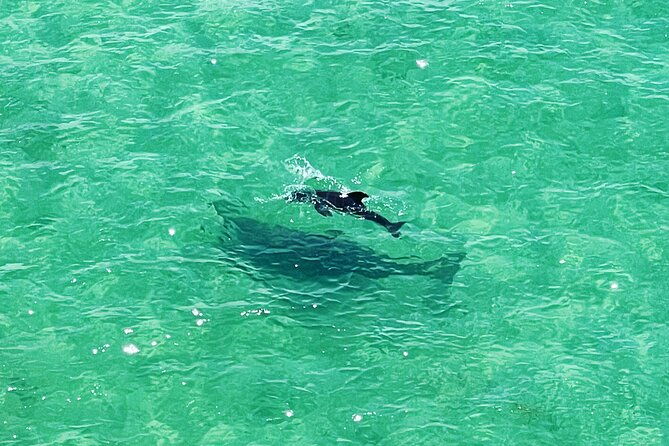 kayaking-clear-through-clearwater