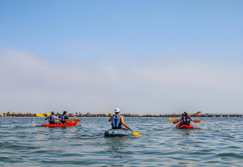 Kayaking Combo with Beach Braai - Final Thoughts: Who Will Love This Tour?