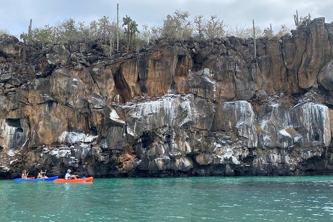 kayaking-experience-in-franklin-bay