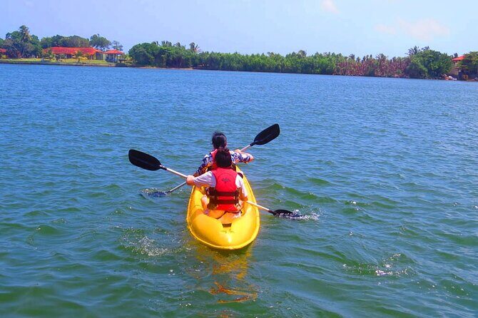 Kayaking from Bolgoda Lake - Detailed Itinerary Breakdown: What to Expect