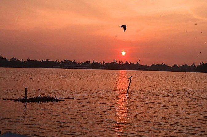 Kayaking from Bolgoda Lake - Who Will Love This Experience?