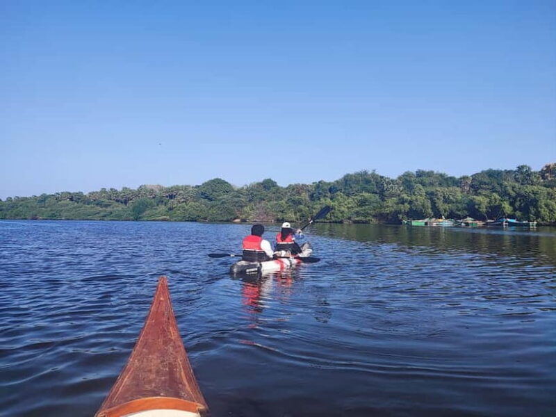 Kayaking in Backwaters of Pondicherry - What Makes the Pondicherry Backwater Kayaking Tour Special?