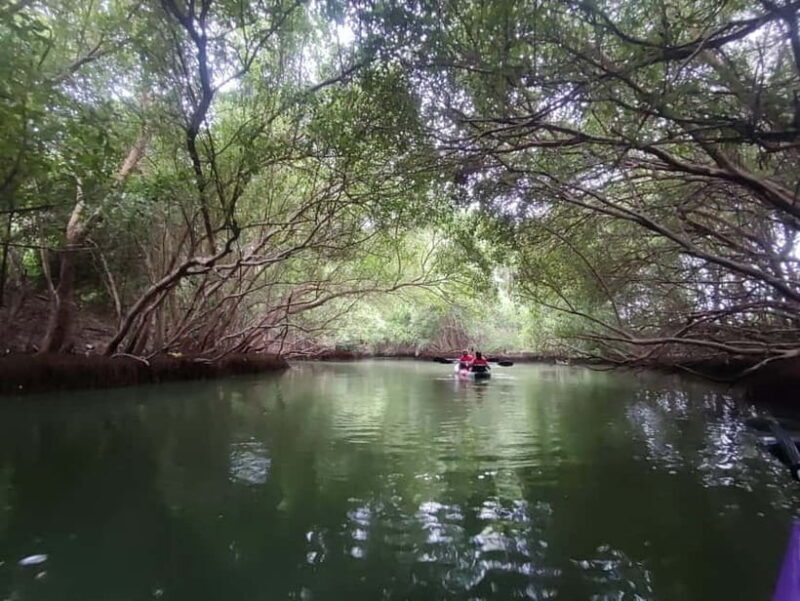 Kayaking in Backwaters of Pondicherry - FAQ