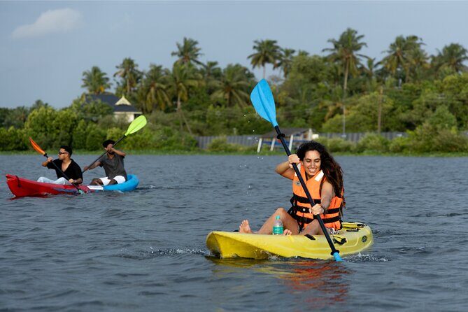 Kayaking in Kochi Guided Backwater and Mangrove Experience - Key Points