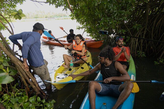 Kayaking in Kochi Guided Backwater and Mangrove Experience - Detailed Tour Itinerary