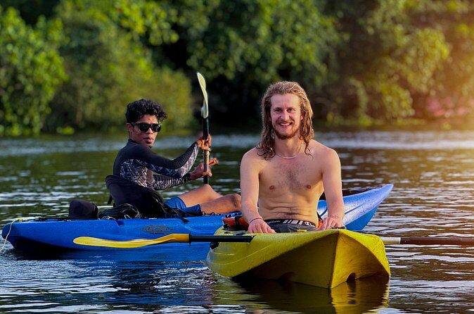 Kayaking in Kochi Guided Backwater and Mangrove Experience - The Experience: What Makes It Special