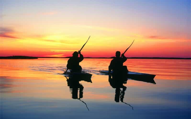 Kayaking Jeffreys Bay - Wildlife and Birdwatching Opportunities
