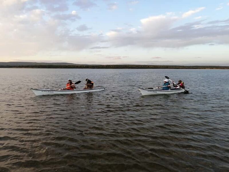 Kayaking Jeffreys Bay - Real Experiences from Participants