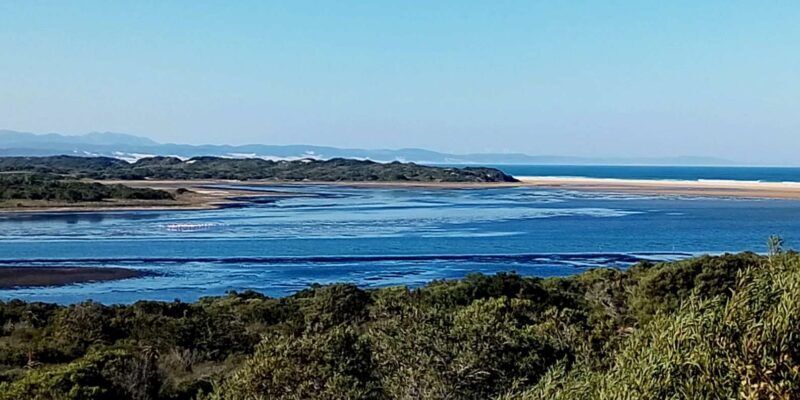 Kayaking Jeffreys Bay - The Sum Up