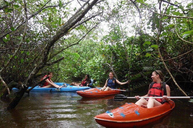 kayaking-mangroves-tour