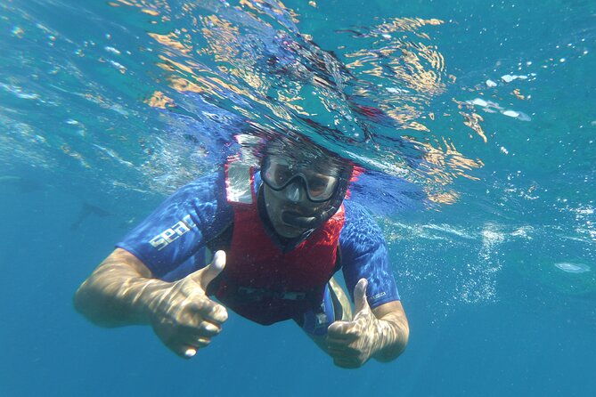 kayaking-snorkeling-with-turtles