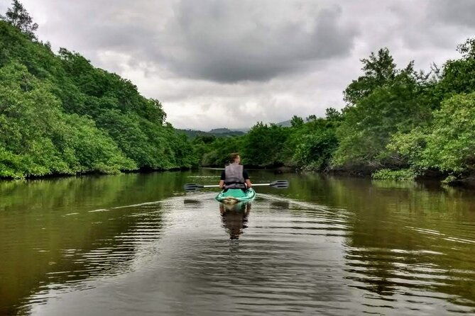 kayaking-to-the-islands-mangroves-in-paraty