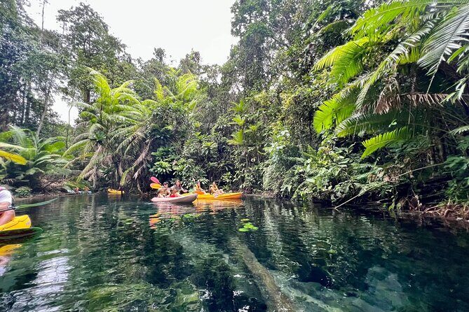Kayaking Tour at Klong Root (Crystal Lake), Krabi - The Value of This Tour