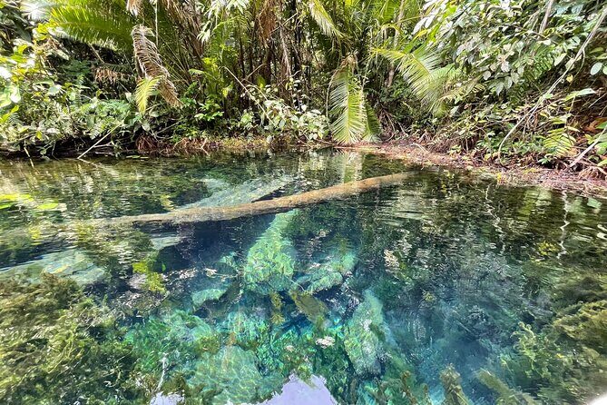 Kayaking Tour at Klong Root (Crystal Lake), Krabi - Who Is This Tour For?