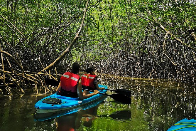 kayaking-tour-chiriqui