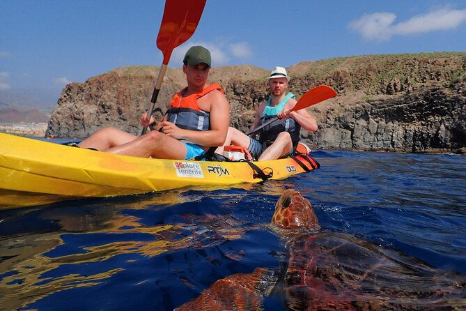 kayaking-with-dolphins-and-turtles-and-snorkelling-in-tenerife