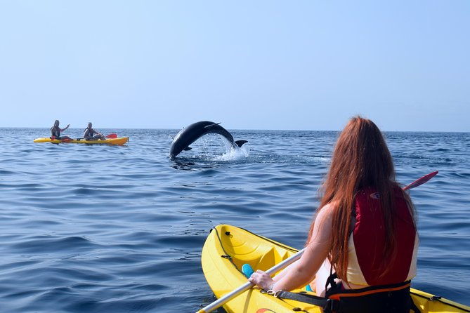 kayaking-with-dolphins-and-turtles-and-snorkelling-in-tenerife