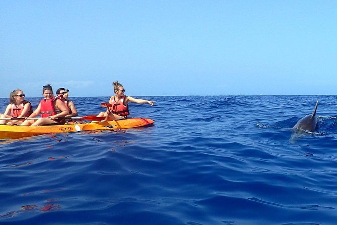 kayaking-with-dolphins-and-turtles-and-snorkelling-in-tenerife