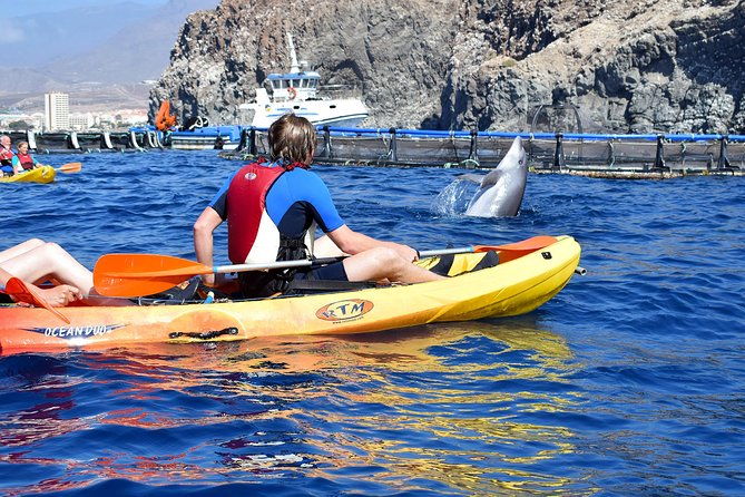 kayaking-with-dolphins-and-turtles-and-snorkelling-in-tenerife