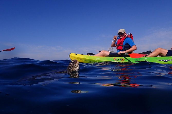 kayaking-with-dolphins-and-turtles-and-snorkelling-in-tenerife