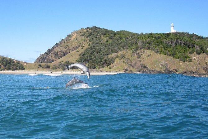 Kayaking with Dolphins in Byron Bay Guided Tour - The Experience: What You Can Expect from Start to Finish