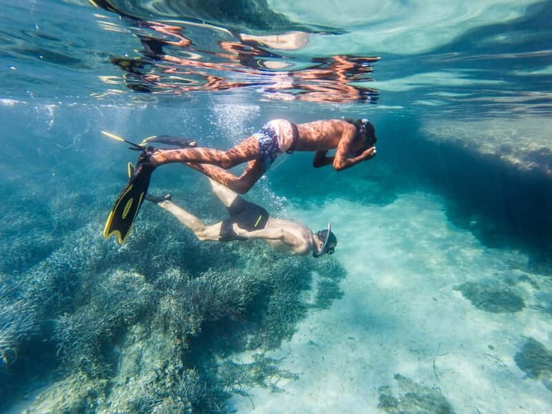 Kayak&Snorkel Tour - The Secret of the Posidonia - Exploring Mallorca’s Underwater Treasure with Kayak & Snorkel in Sant Elm