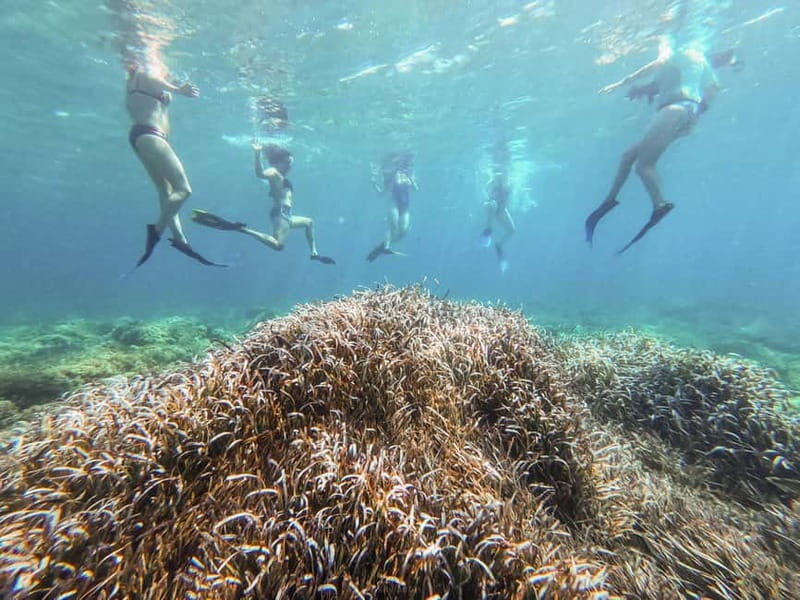 Kayak&Snorkel Tour - The Secret of the Posidonia - The Practical Side: Equipment, Duration, and Flexibility