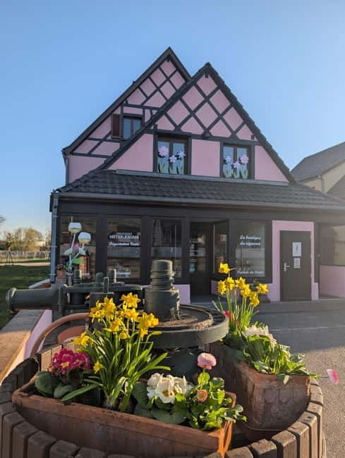 Kaysersberg Vineyard Discovery of the vineyard and wine, Domaine Meyer-Krumb - Tasting the Flavors of Alsace