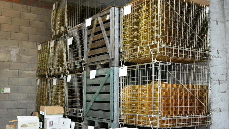 Kaysersberg Vineyard Discovery of the vineyard and wine, Domaine Meyer-Krumb - Authenticity and Local Charm