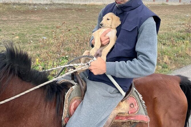Kazakh Horseback Hunting and Yurt Dinner - Kazakh Horseback Hunting and Yurt Dinner: An Authentic Kazakh Experience