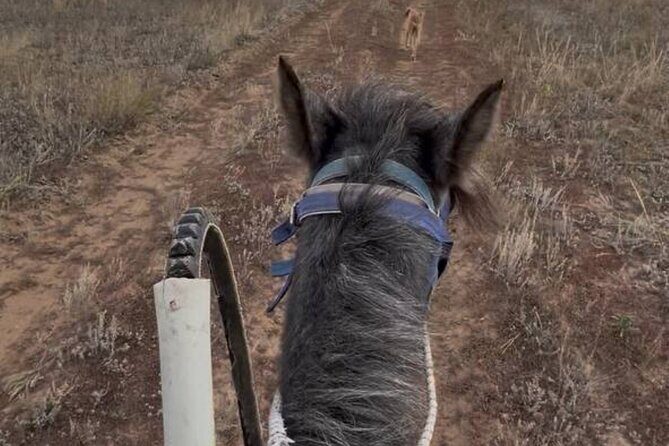 Kazakh Horseback Hunting and Yurt Dinner - Exploring the Kazakh Horseback Hunting and Yurt Dinner Tour
