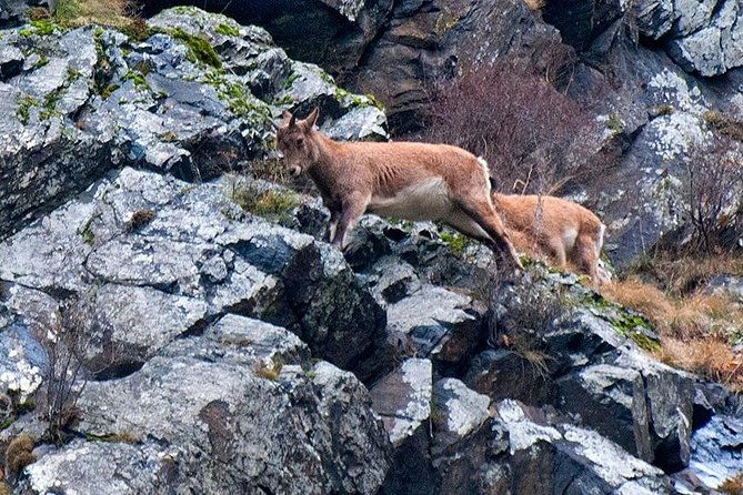kazbegi-ananuri-gudauri-and-zhinvali-group-tour