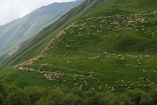 kazbegi-one-day-private-trekking-tour-to-truso-valley