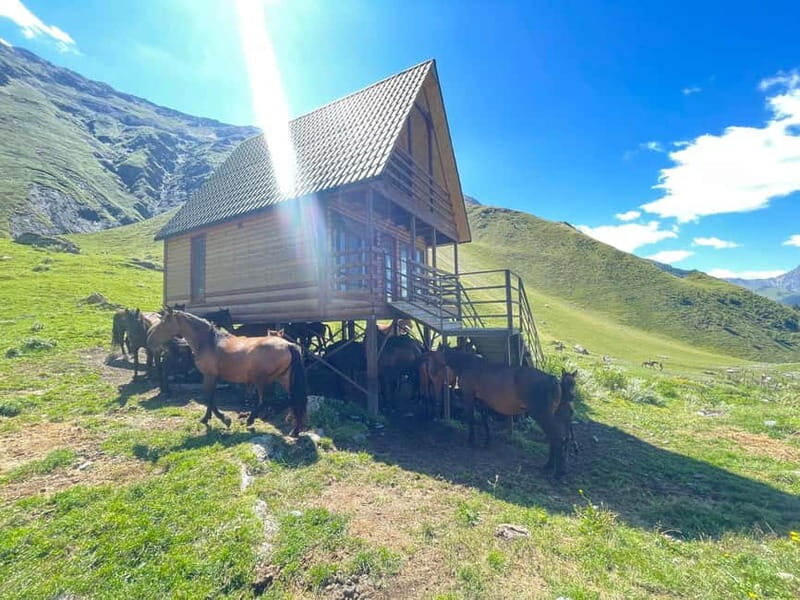 Kazbegi:Sunset Horse Riding Tour from Rooms Hotel Kazbegi - The Experience From Past Travelers