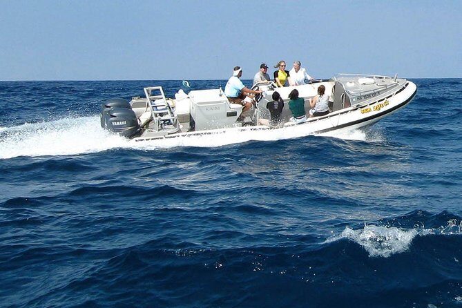 Kealakekua Bay Captain Cook Snorkel Exclusive - Who Should Consider This Tour?